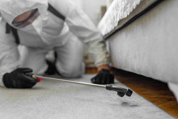 Professional Cockroach Control technician working in Agua Dulce, TX
